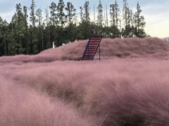 -嘉北郊野公园