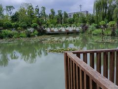 -天府芙蓉园