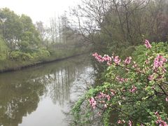 -上海怡沁园度假酒店