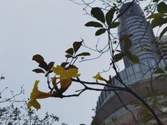 -洲头咀公园