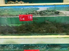 水产区-旺富东海大酒楼(海鲜街店)