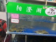 -阳澄湖大闸蟹·琼灵阁牌品牌连锁(吴中总店)