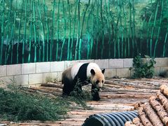 -南昌动物园