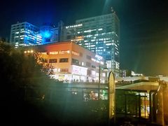 -台场海滨公园船码头