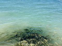 -青海湖二郎剑景区