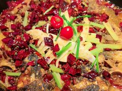 -老板恋上鱼(恒隆广场店)