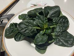 -海底捞火锅(长宁路龙之梦店)