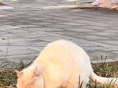 -大钟寺古钟博物馆