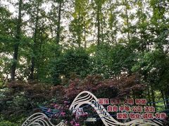 -徐家汇源景区-衡山公园