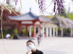 -洛阳市隋唐城遗址植物园