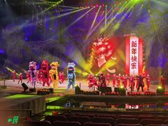 -广州长隆国际大马戏