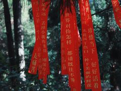 -寂照庵