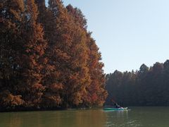 -上海海湾国家森林公园