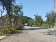 -红山村