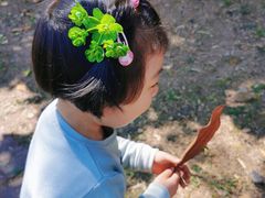 -东方熊牧场
