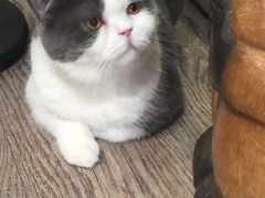 -小时光咖啡馆(开森度假森林店)