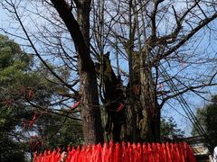 -西湖风景区十里琅珰-五云山