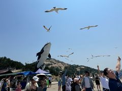 -西霞口神雕山野生动物世界