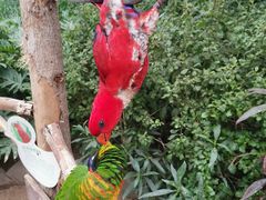 -南宫五洲植物乐园