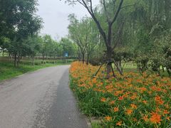 -东郊湿地公园