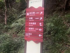 -广州白江湖森林公园