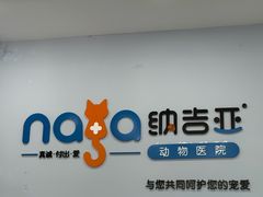 -纳吉亚猫专科动物诊疗中心(蒋宅口分院)