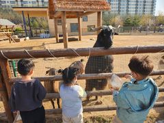 -太原动物园