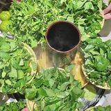 这一口，是来自大自然的馈赠～