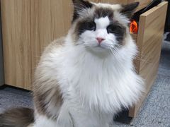 -零纪元VR体验馆·桌游(黄浦店)