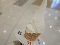 -野人先生Gelato(上海长宁龙之梦店)