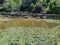 -铁山坪森林公园