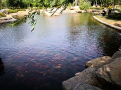 -羊亭河湿地公园