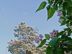 -元大都城垣遗址公园