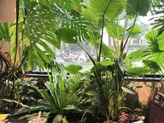 -J Create城市露营咖啡·简餐·宠物(上海动物园店)