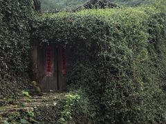 -杨家堂村