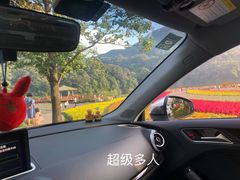 -广州市石门国家森林公园