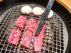 -虎哥六韩式烤肉料理 TIGERGRILL(隆生金山湖中心购物广场店)