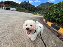 -九鲤湖风景区