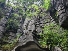 -梭布垭石林景区