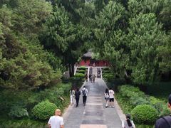 -南京国际会议大酒店