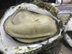-蚝得喜海鲜(东城店)