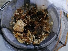 -绵阳盛世樱花悠乐谷