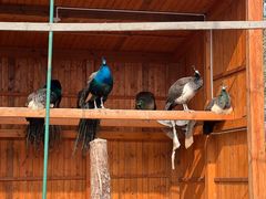 -西山漾湿地公园