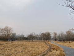 -北坞公园