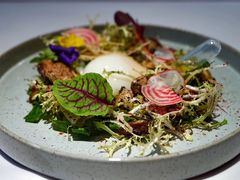 -Oyster Talks 四度蚝法餐厅