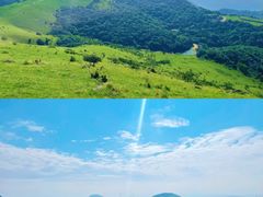 -大姆山草场
