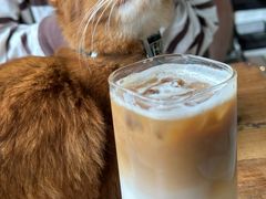 -猫小院猫主题餐厅(南锣旗舰店)