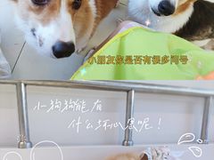 -怪兽屋·羊驼·猫咖·狗咖(俊华广场店)