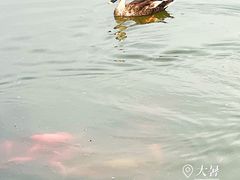 -前关湿地公园