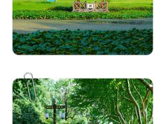 -宜兴龙背山森林公园